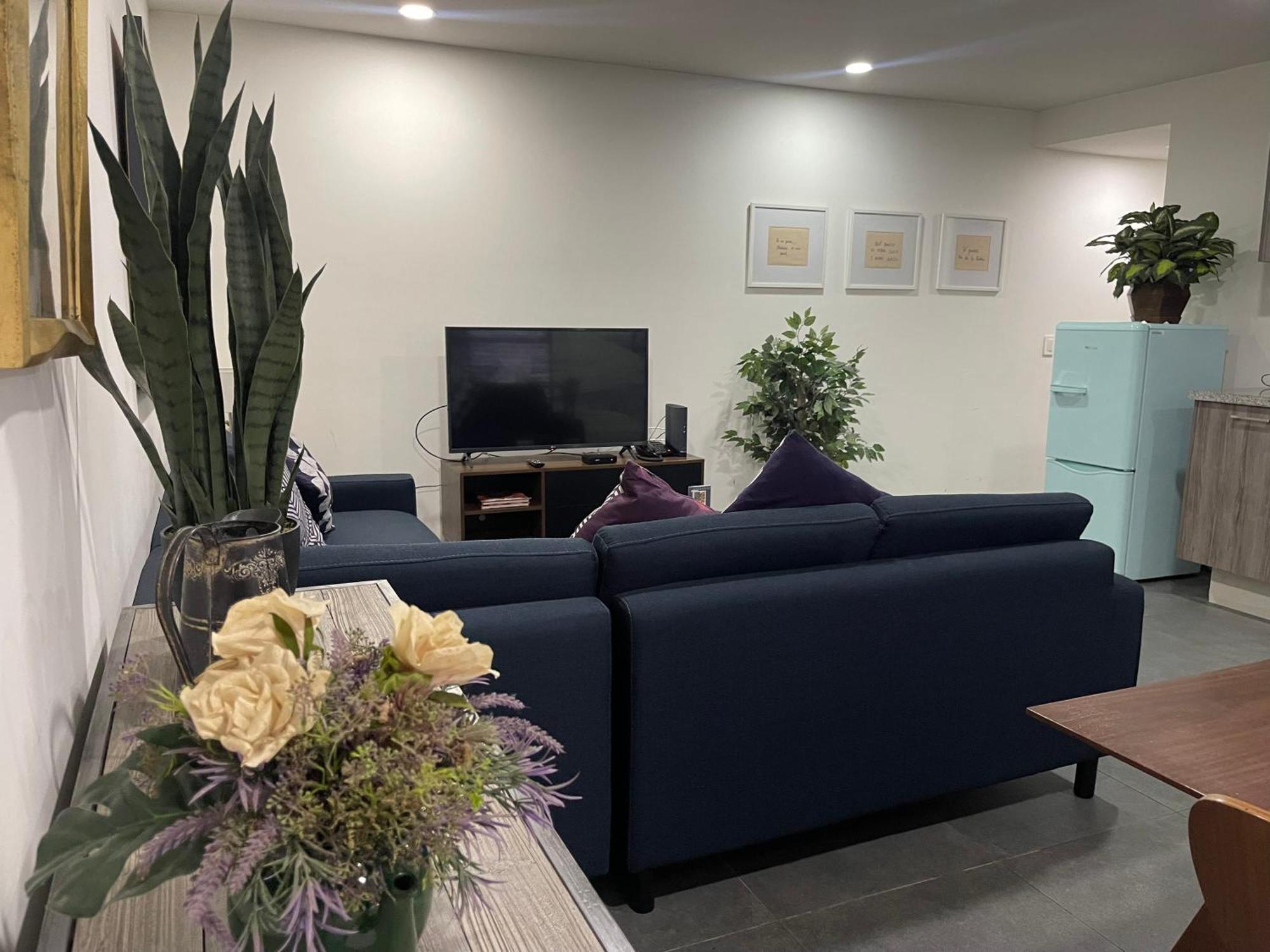 墨西哥城Nuevo Y Ubicado Departamento Zona Santafe公寓 外观 照片
